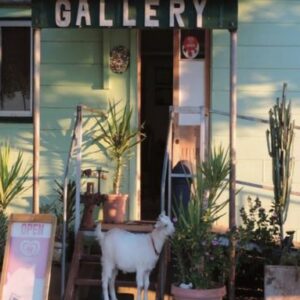 Corella Creek Country Farm Stay Art Gallery