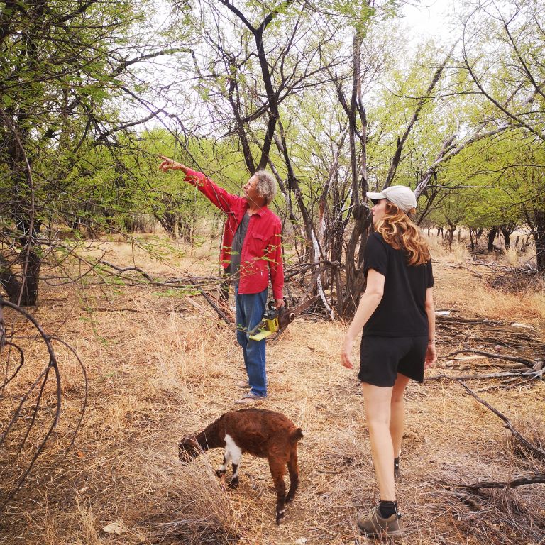 Corella Creek Tour Birdwatching with Eric